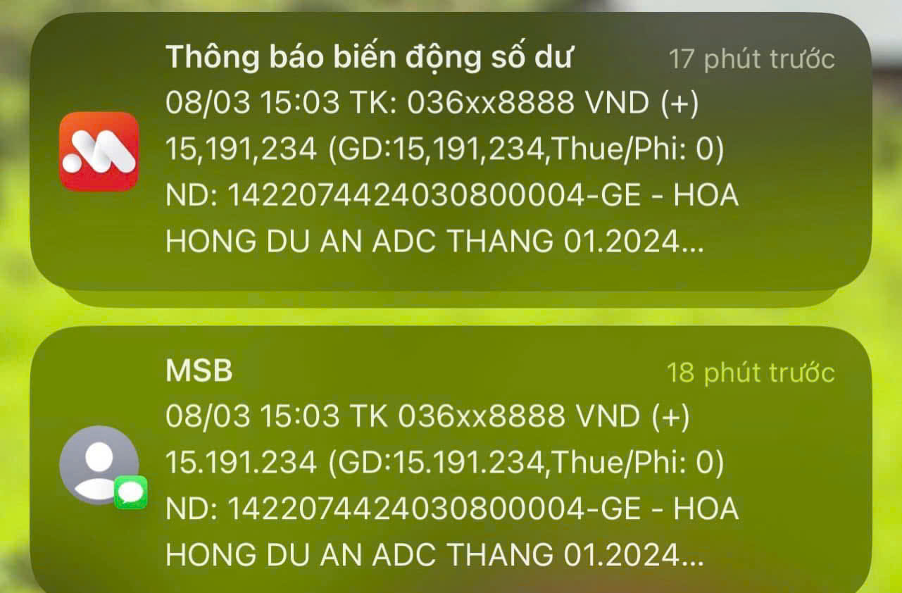 Bằng chứng thu nhập